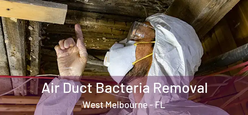 Air Duct Bacteria Removal West Melbourne - FL