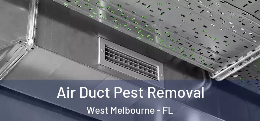  Air Duct Pest Removal West Melbourne - FL