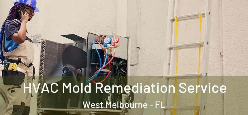  HVAC Mold Remediation Service West Melbourne - FL