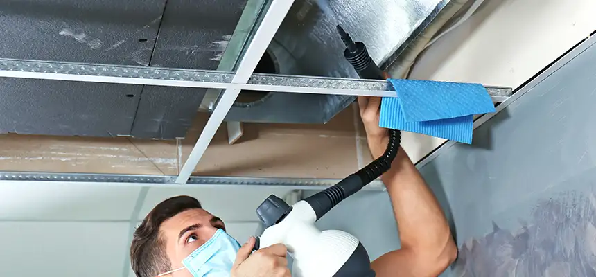 Our Air Duct Rodent Removal Services in West Melbourne, FL