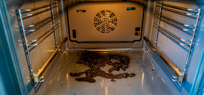 Our Dryer Vent Mold Cleaning Services in West Melbourne, FL