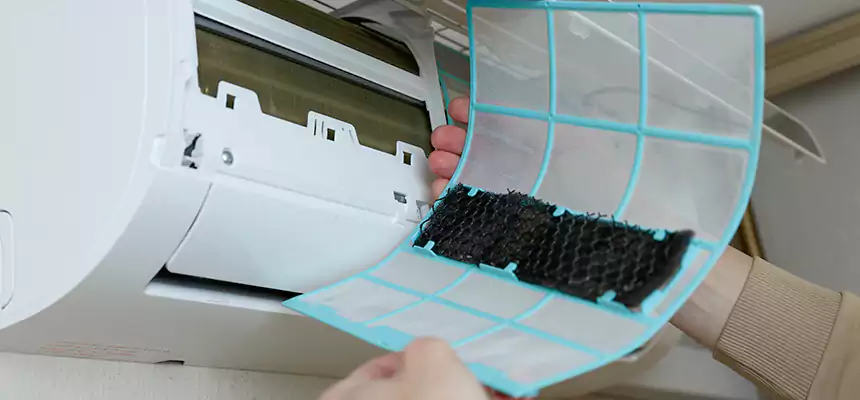 Gentle Ductwork Odor-Control Pet Dander Duct Cleaning in West Melbourne, FL