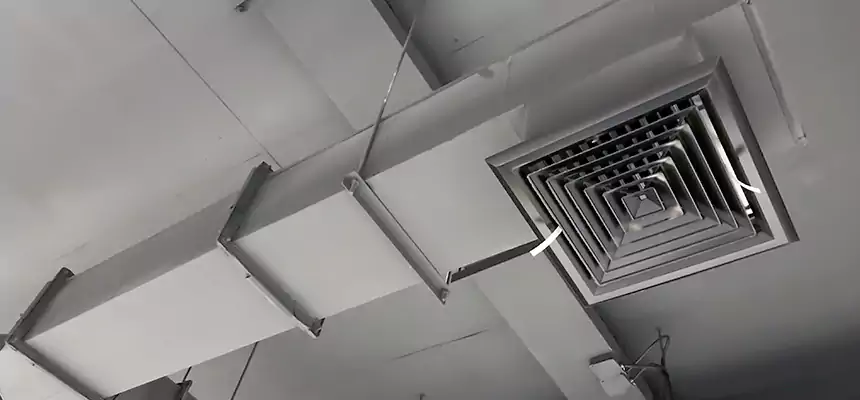 Our Rodent Droppings In Vents Services in West Melbourne, FL