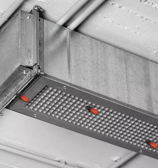 About Air Duct Cockroach Removal in West Melbourne, FL