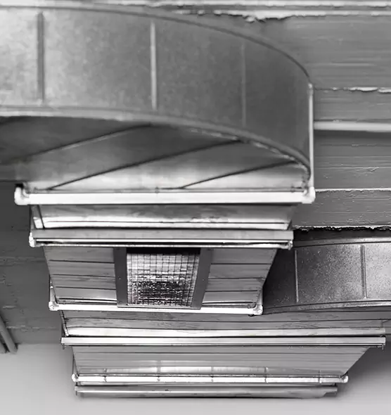 Professional Air Duct Pest Removal in West Melbourne, FL