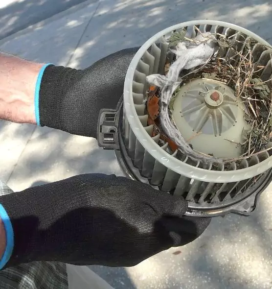 About Air Duct Rat Removal in West Melbourne, FL