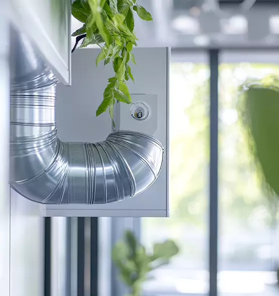 Professional Eco-Safe Dryer Vent Cleaning in West Melbourne, FL