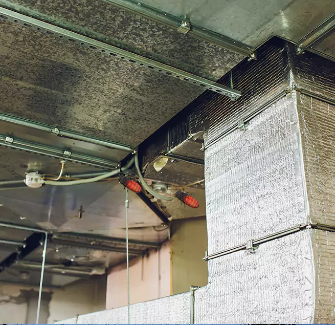 Why Homeowners & Businesses Trust Us in West Melbourne, FL?