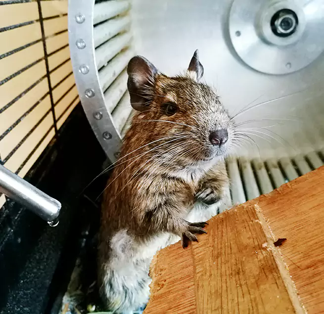 Why Homeowners & Businesses Trust Us West Melbourne, FL